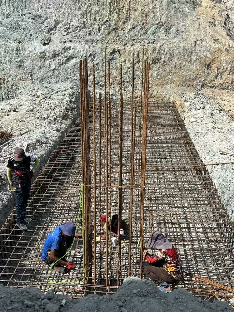 Philippines Project